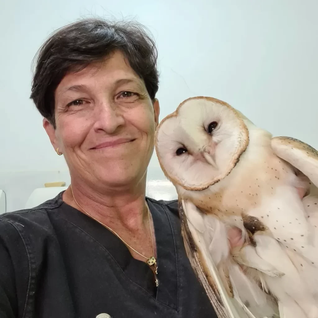 Dra. Maria Ângela conduz palestra sobre acupuntura e reabilitação no Instituto VetSociety